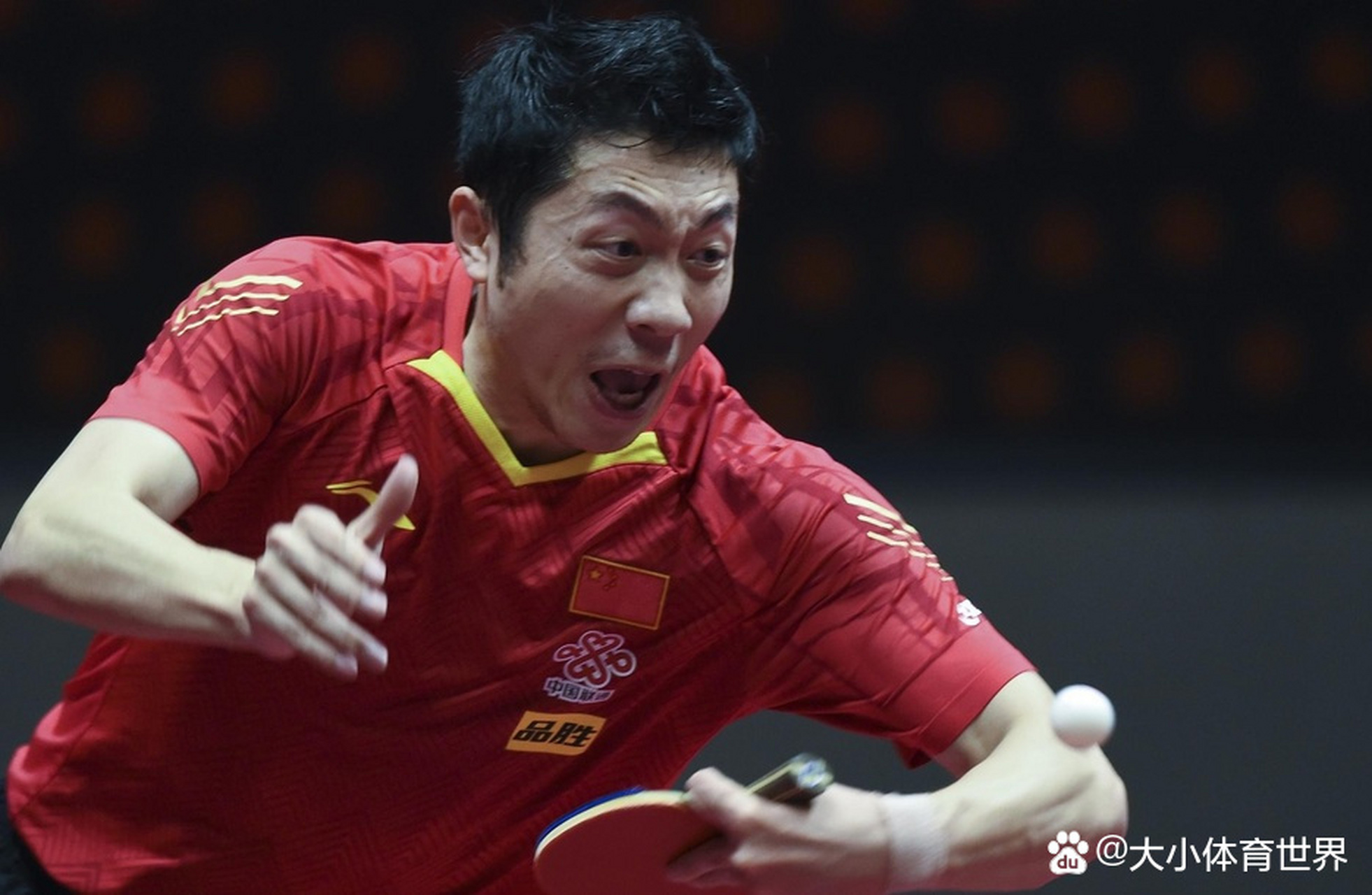 德国队力克波兰队，许昕高光表现