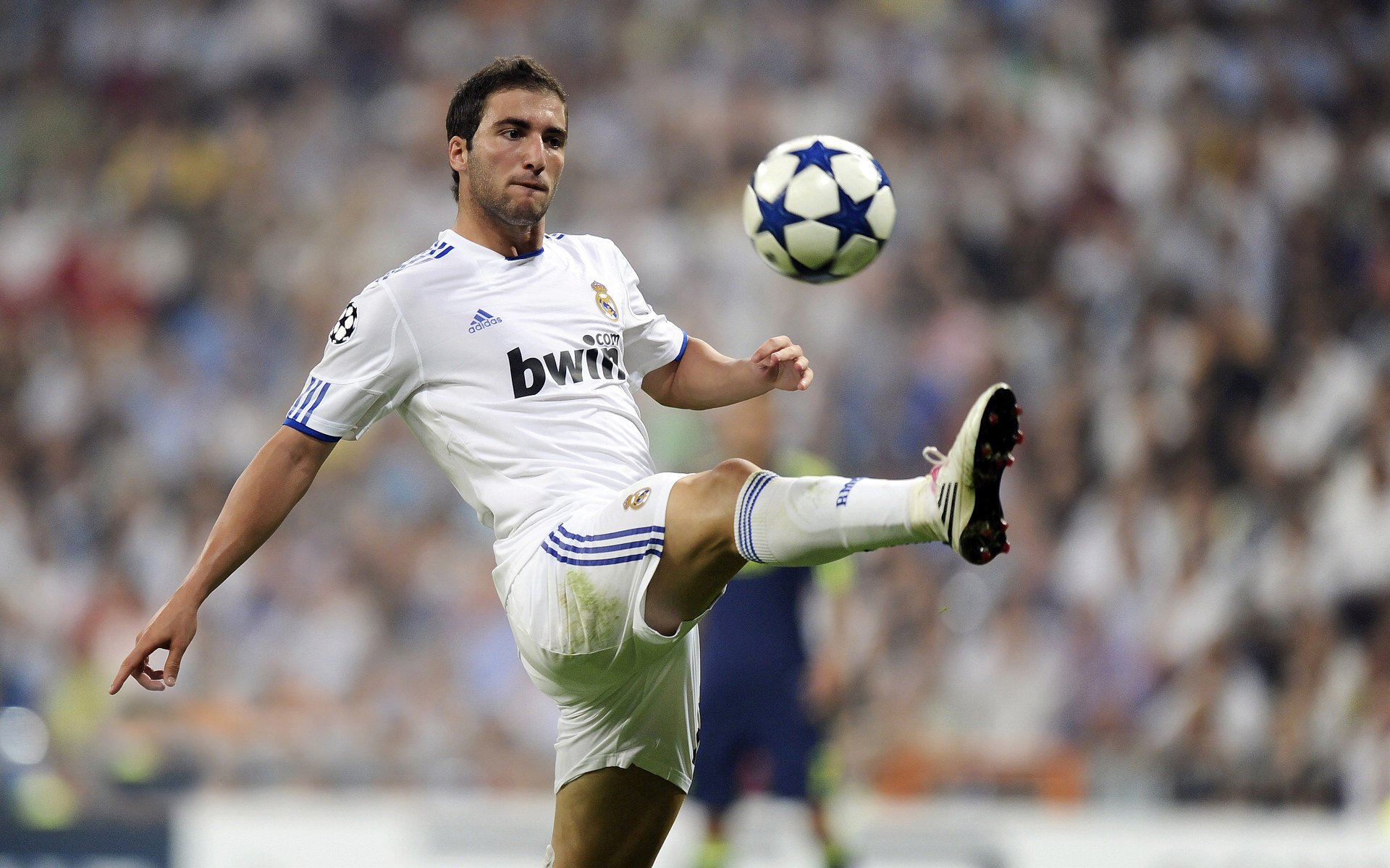 IM体育社区互动入口-巴雷拉时刻，当厄瓜多尔玫瑰刺穿尼日利亚雄鹰的宿命